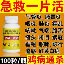 禽类通用万能急救饲料鸡软胶水肿瘫痪精神不振歪头无力小鸡鸭鹅