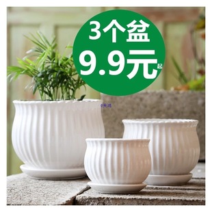 �����մɴ�̖���бP���ð�ɫ�G�}�����m���⻨���ڏ�