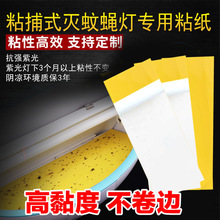 10bßճճxSճxճʽωճճω