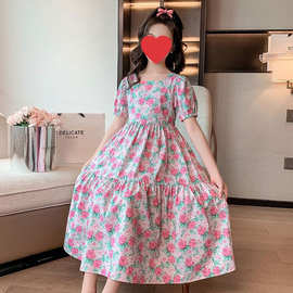 网红女宝宝韩版甜美夏装连衣裙中大童2024新款洋气时髦花朵公主裙