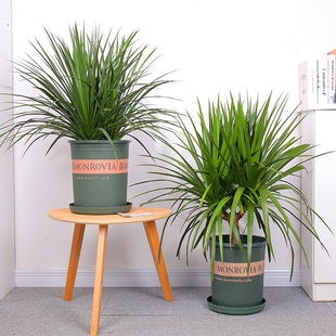 ��Ѫ��͏d�Gֲ���Զ��^��횘��F������Gֲ�҃���ش����Ϙ�����