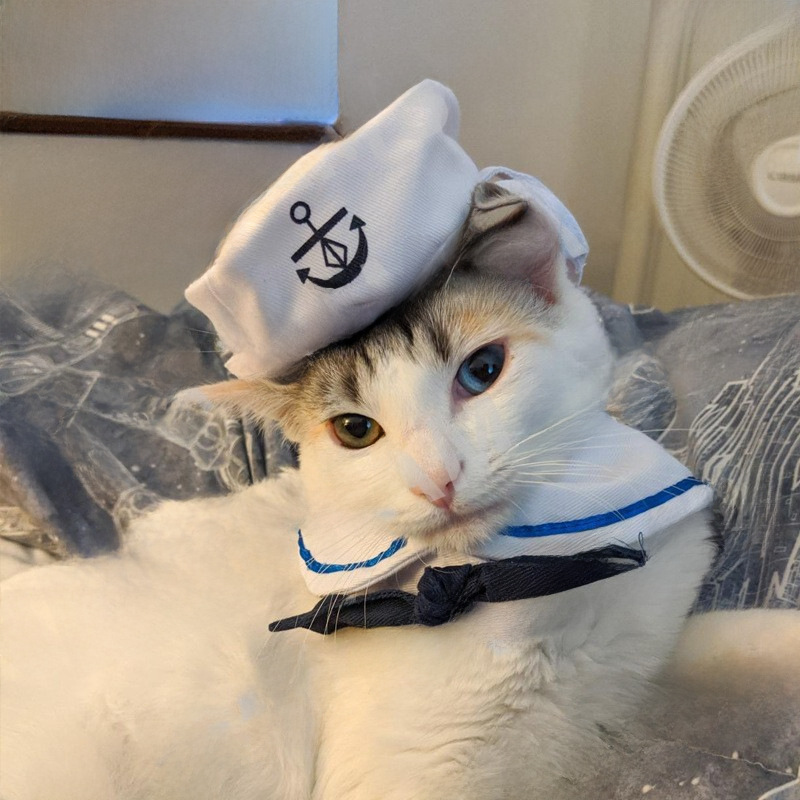 Костюм для домашних животных Sailor Clate (шапка и накидка)