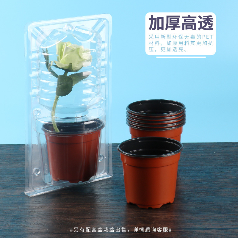 Caja de embalaje de plantas verdes de flores personalizadas, caja de transporte expreso de plántulas de flores, caja de protección de transporte de plántulas de plantas en maceta, ampolla de plástico