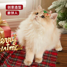 �¿��}�Q�����^�ͨ؈�乷���l�A̩�ϼs���Č���A����ë�A�l��