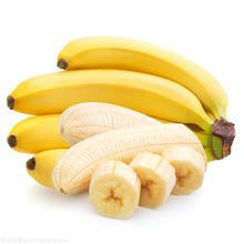 香蕉树苗盆栽皇帝蕉苗红香蕉苗安南蕉中蕉小米蕉苗粉蕉苗矮化蕉苗