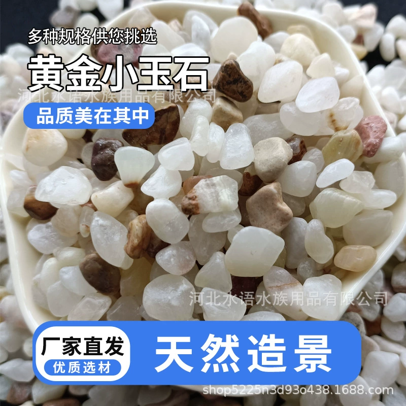 Кристаллический песочный эссенция бросает маленькие нефритовые водные растения, посадка аквариумных пейзажей