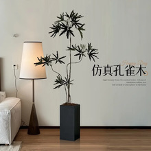 ��ȸľ����Gֲ�߶��p�ݿ͏d������ֲ���҃ȴ�����������b[��