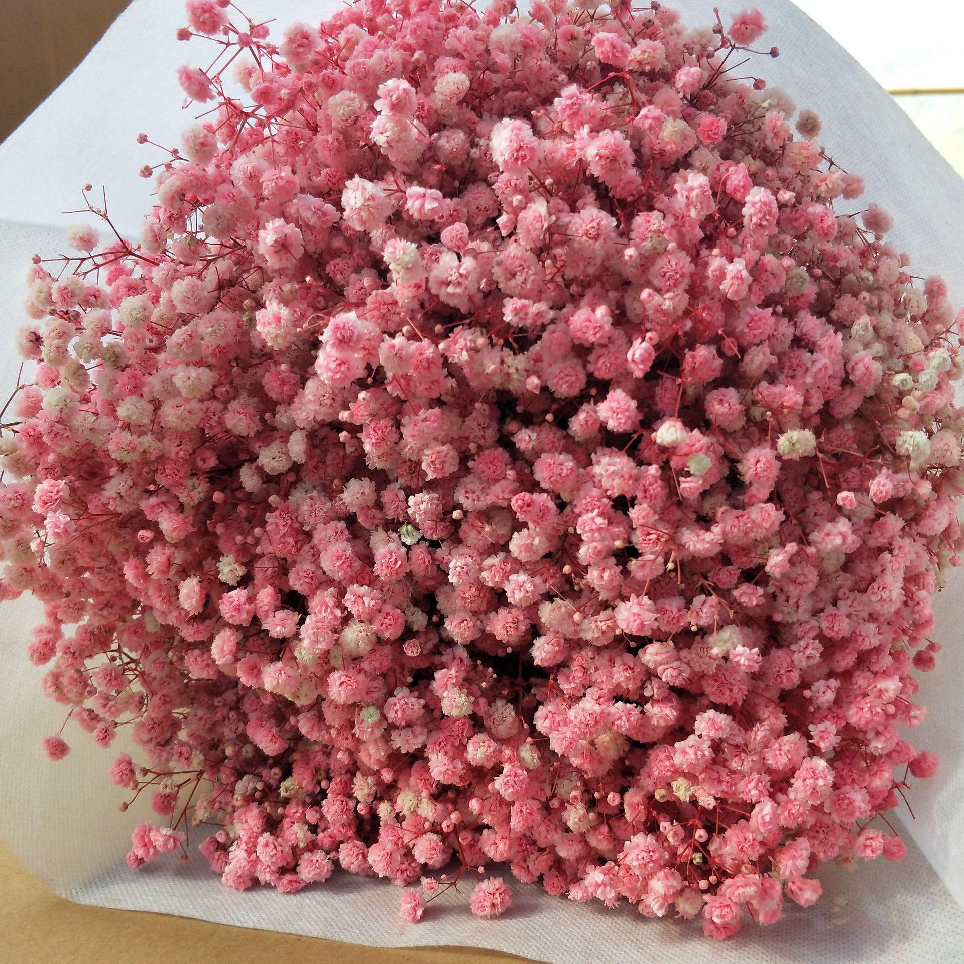 微信图片_20211210003330