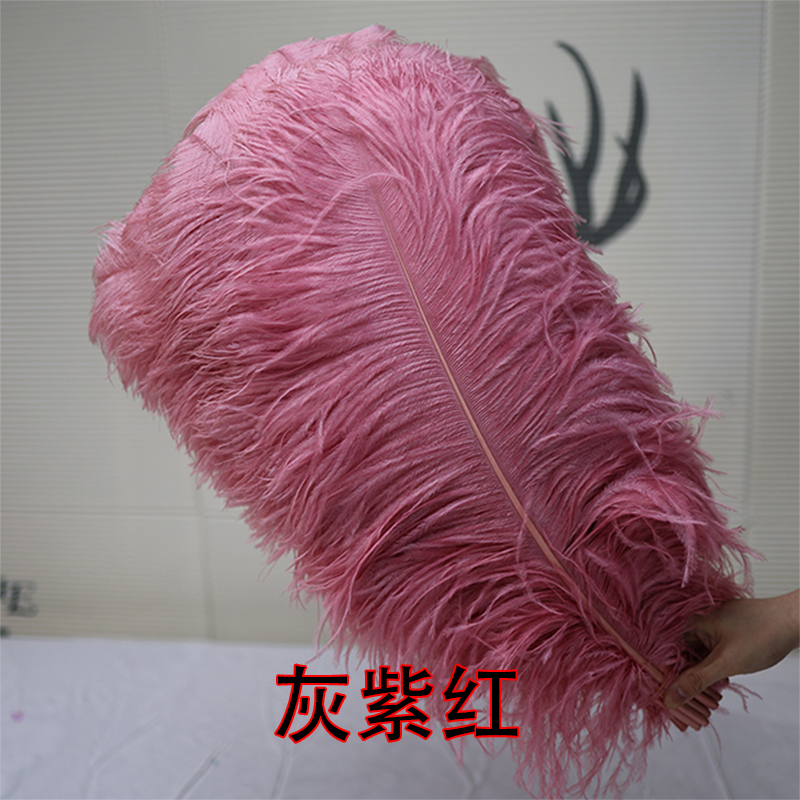Plumas de avestruz bodas blancas de avestruz guía de plumas accesorios de fotos adornos rojo rosado en línea grandes plumas decoración