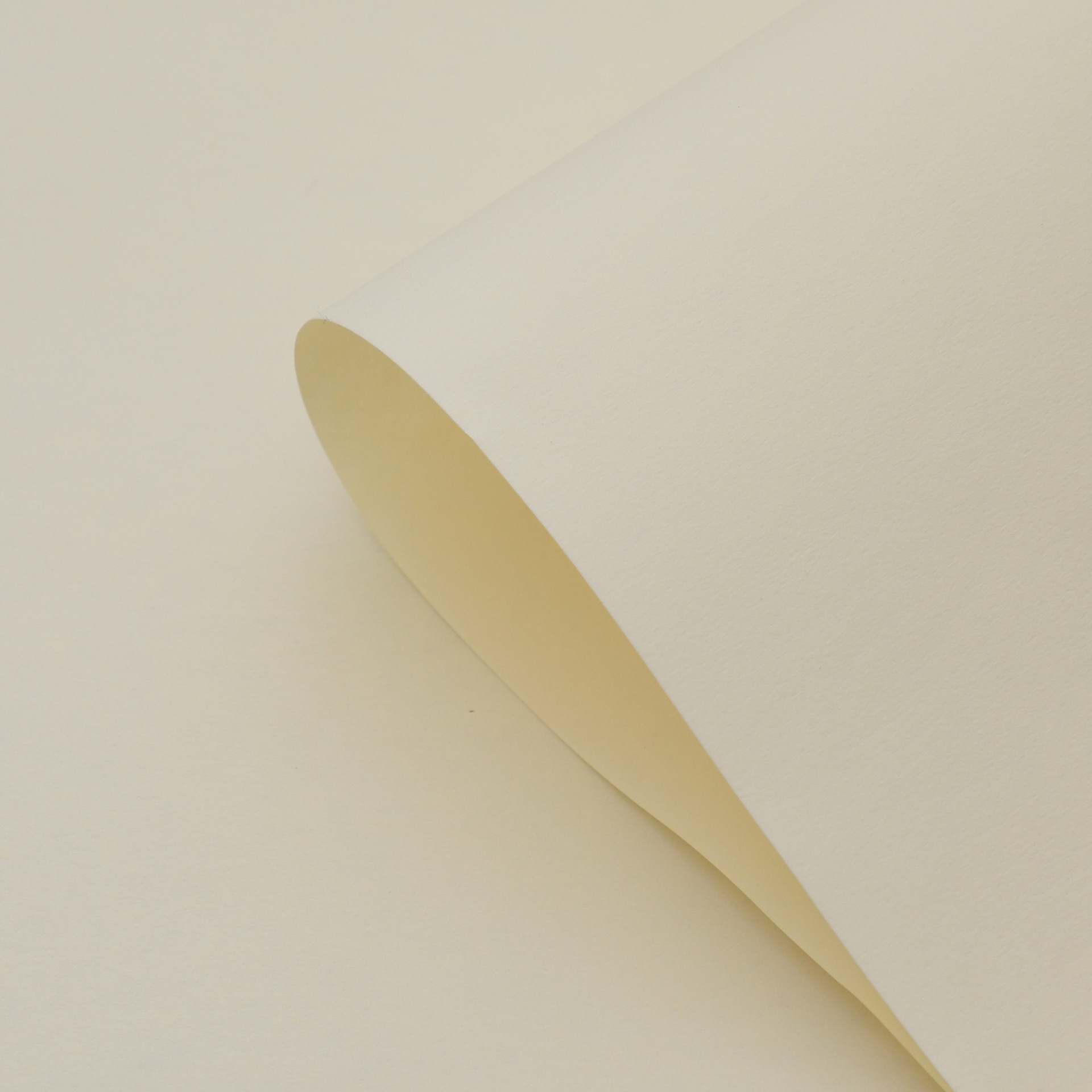 Fenghua serie de papel de embalaje de ramo de flores de color sólido papel de arte impermeable flores de papel de regalo de materiales de flores