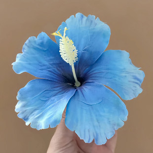 ��Ͱ�~�{ɫ��ɣ���l�AŮ��߅���滨�^�����u���^�߅�ȼٰl�
