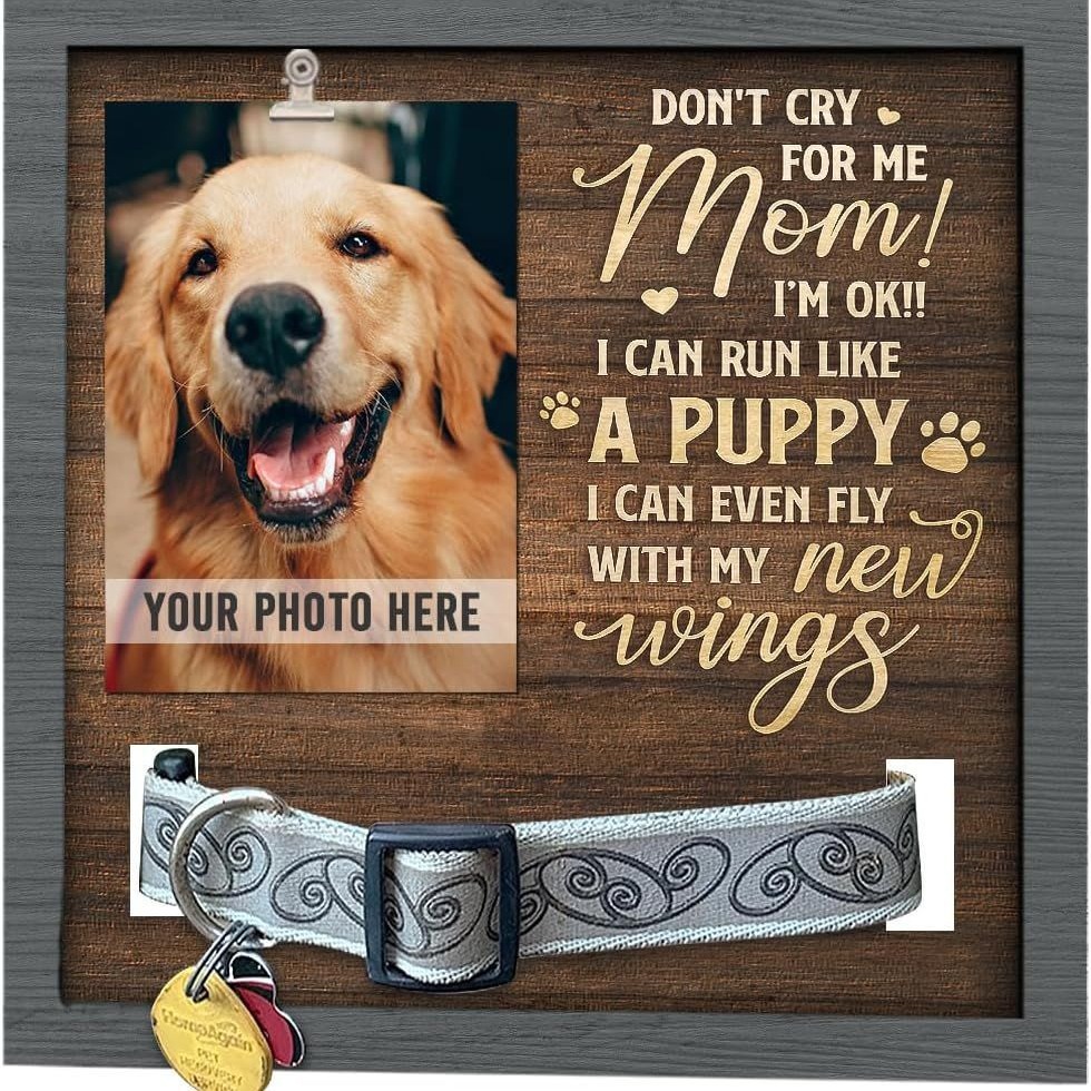El marco de fotos conmemorativo para mascotas creativo de madera puede contener collar mesa tridimensional marco de fotos para mascotas mascota de madera perdida