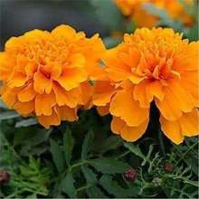 f۾շNӾջNļ׻ɫܽػNԷN