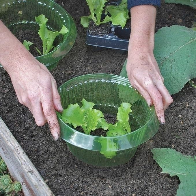 厚みのある野菜保護カバー、カタツムリブロック、丸型害虫防止農業保護、野菜保護用の緑色の透明な植物カバー|undefined