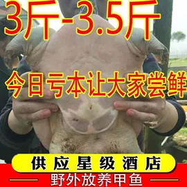 面筋制品;软糖;传统糕点