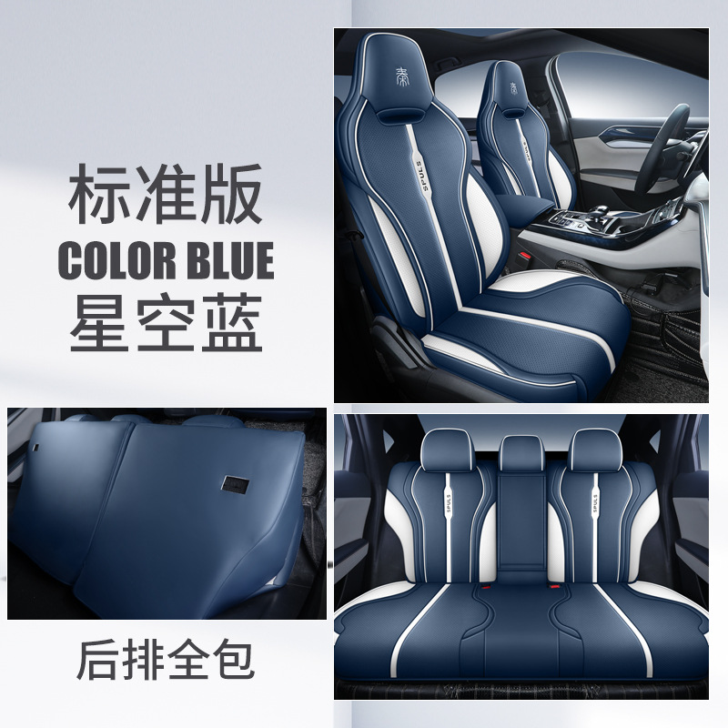 CKX BYD Qin PLUS 리어 올 인 클루 시브 표준 에디션 별이 빛나는 하늘색