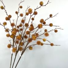 �������ë�����������֦�Ꭷֲ��ٻ����Ԅ���ܛ�b�廨�ɻ���
