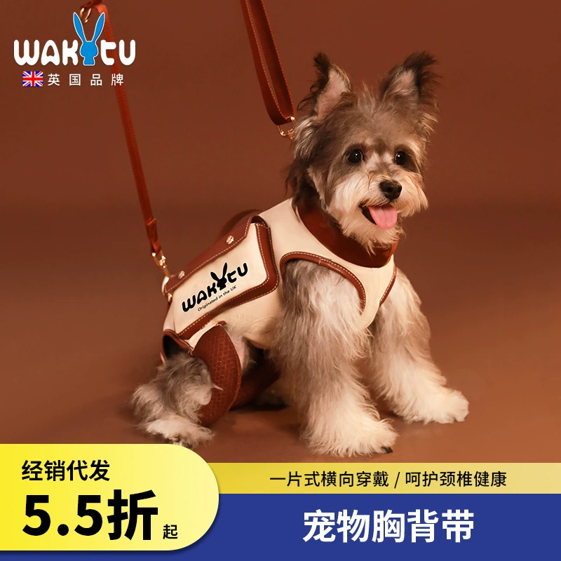 Wakytu британские собаки выходят на одно плечо с кошачьим рюкзаком