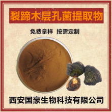 裂蹄木层孔菌提取物 针裂蹄粉 裂蹄木层孔菌粉 500克