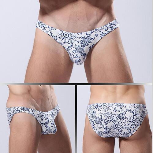 Chinese style teen gay sexy men's low-waist underwear cartoon print new Xinjiang cotton briefs E095