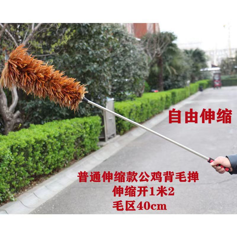 Telescopic stainless steel back hair [extended 120cm]