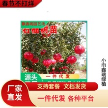 ʯ�������Ϸ��Nֲ�ش��������ļ��Nֲ��������ʯ���箔��Y��