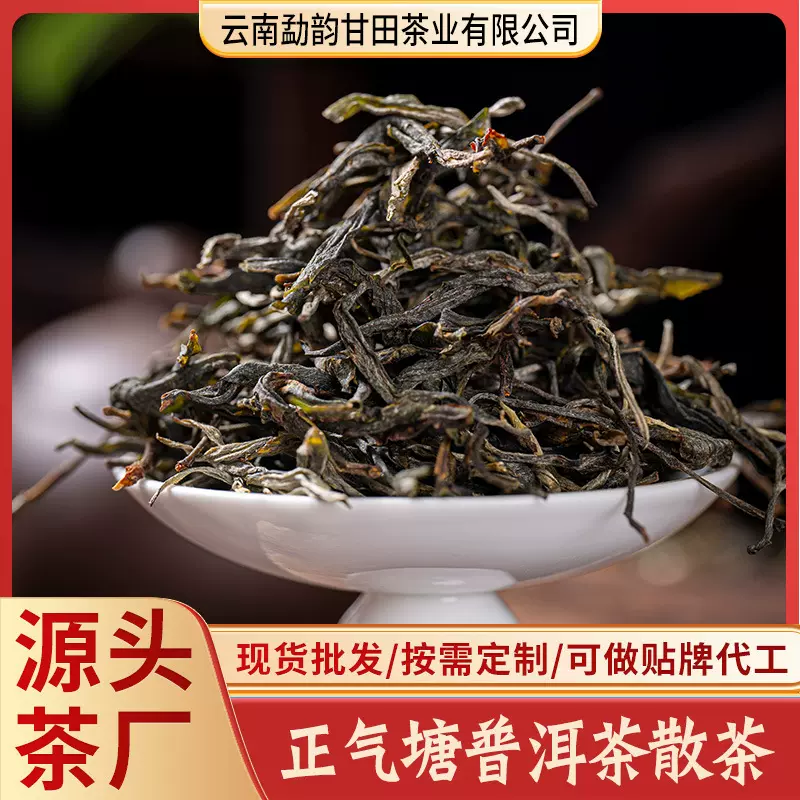 厂家直发古树普洱茶云南大叶种晒青正气塘普洱散茶生茶散装500克