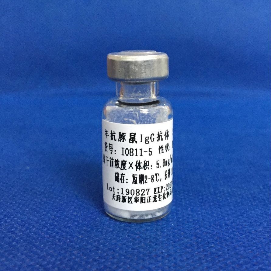 ������IgG����-10MG