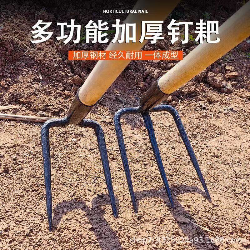 微信图片_202504031438484.jpg
