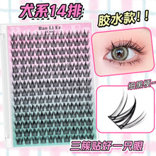 �zˮ��Ȯϵ���ܴ������ٽ�ë��Ȼ��ħ�۽�ë����ֶΑ��˽�ë���l
