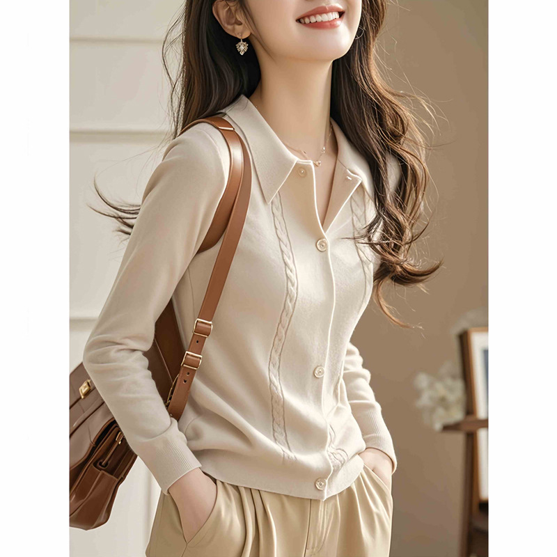 프랑스 젠틀 하이 엔드 폴로 칼라 긴팔 니트 2024 가을 및 겨울 새로운 외국 스타일 틈새 복장 탑