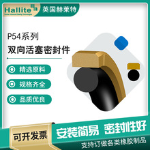 Ӣ��Hallite PTFE���RȦ T54�����ܷ�� �α�ʽ�����CҺ���ܷ��