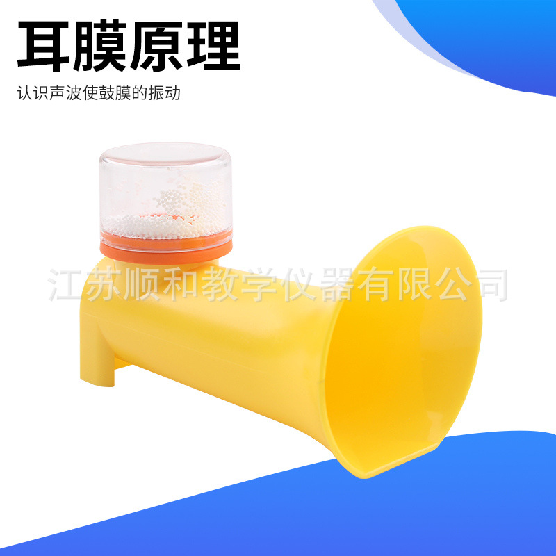 人体耳朵鼓膜模型声波振动原理 科学实验教学教具 学生教具