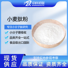 小麦肽小麦低聚肽小分子98食品级水解小麦蛋白肽原料活性肽粉批发