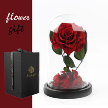 ˹Сӆζõ廨ֳƷYŮѽ̎ɻ