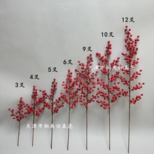 �t���Ӱlؔ������t������������t�{���Ҿ��b[�������������l