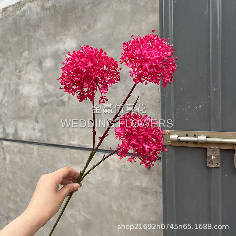 세 머리 나무 수국-플라스틱