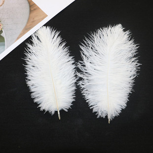 �F؛20-25cmܛ�U��ɫ�r�Bë��c�r�Bë�廨��ë