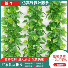 �ٗlС�l�پG�~����ɽ���~�ٳ����ٗl���{�ܵ������~�b�