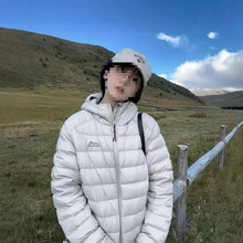 ŹqŮ̿p2025궬¿Ӻe\Bñ