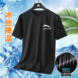 ���z����t���Ќ��ɴ�a���b�ٴ�T����ɫT���г��׺�ӡ�����e�ٸ�