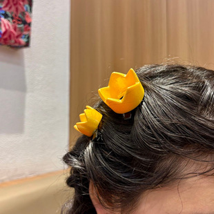 �ʹ����Ͱl�AŮ���X��ץ�A���s�r�аl��^����Ʒ�Ͻ���|�׺��L