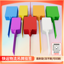 100个物流吊牌挂签一体式中通韵达安能快递快运塑料标牌扎带壹米