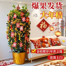 ��������ļ���ۘ䎧�����پGֲ�����҃�ֲ������̨�^����