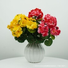 ���R�d���N�L���溣�Ļ��ٻ���c�Ҿӿ͏d���ÿ��z���羳���컨