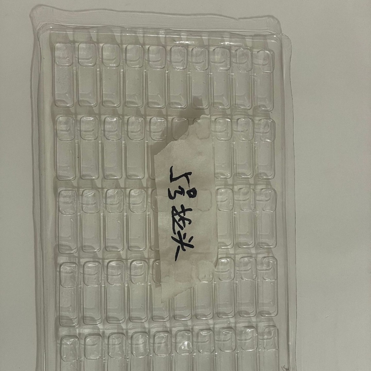 2024-08-28 20:06:55.jpg