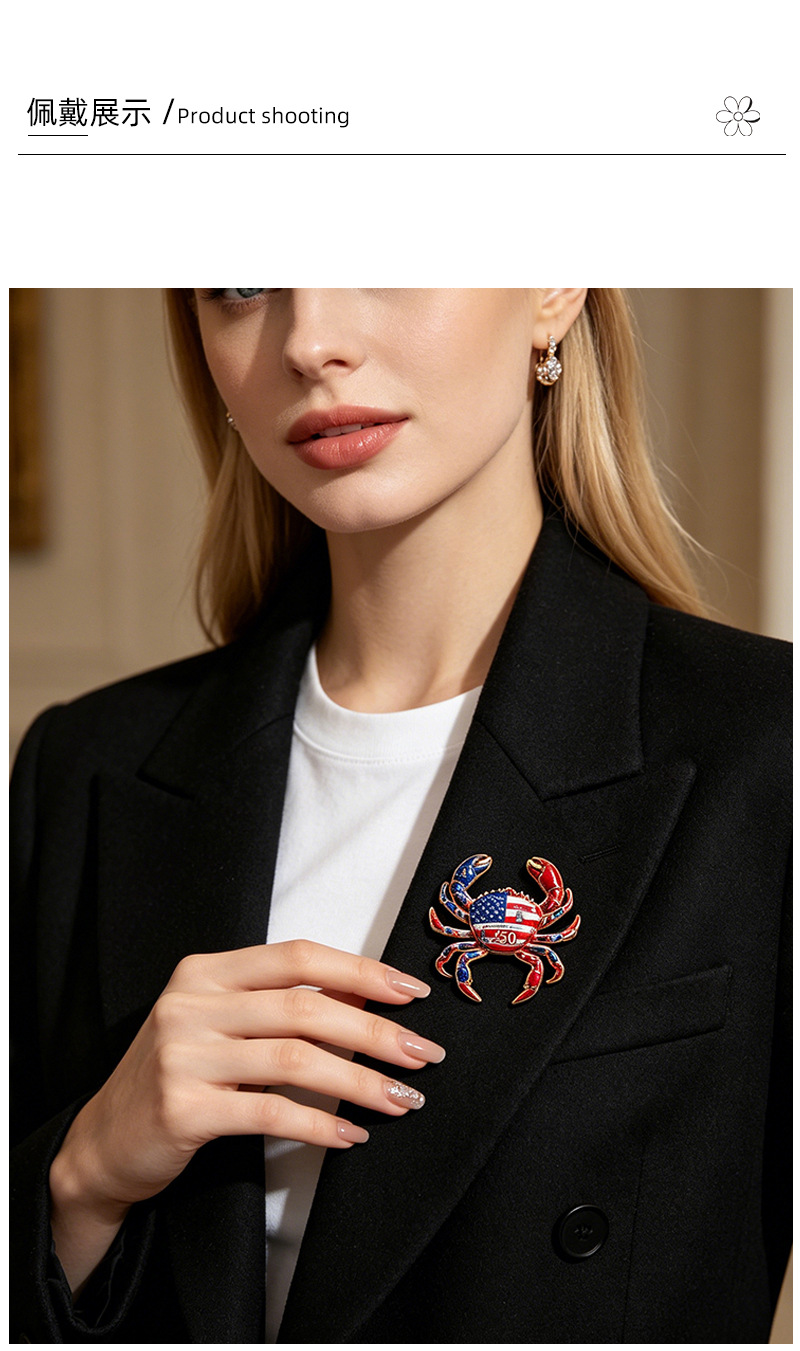 Eco-friendly crab brooch, 5 enamel pins, football, stars and stripes, blue and white porcelain themed accessories