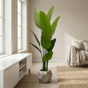 �羳����Gֲ�������˽����Ը߼�������ֲ�����l�پGֲ�b��ҰŽ�