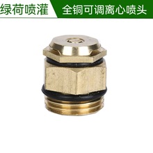 4���~���^���F�������F����ƺ���΢���^�����@�և��ܹ�ˮ���