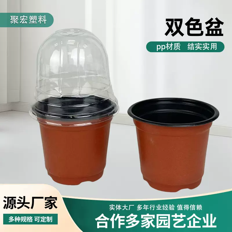双色盆塑料加厚双色育苗花盆加厚带盖营养盆花卉基地苗圃多肉盆